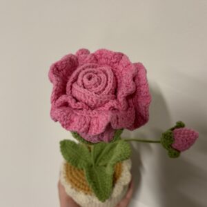 CGC Rose Pot (L) $45