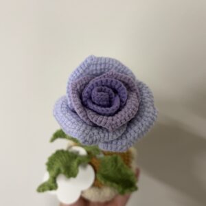 CGC Rose Pot (M) $38