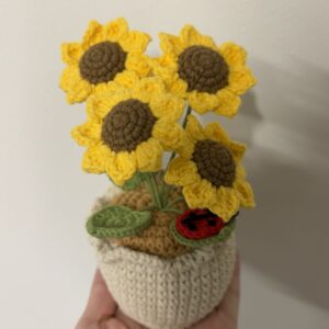 CGC Sunflower pot (4) $35