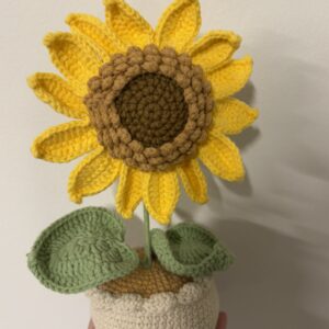 CGC Sunflower pot (L) $45