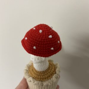 CGC Mushroom Pot (s) $25
