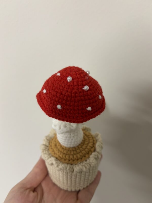 CGC Mushroom Pot (s) $25